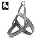 Night Visibility Dog Harness for Walks