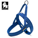 Night Visibility Dog Harness for Walks