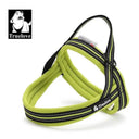 Night Visibility Dog Harness for Walks