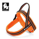 Night Visibility Dog Harness for Walks