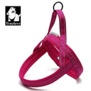 Night Visibility Dog Harness for Walks