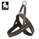 Night Visibility Dog Harness for Walks