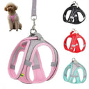 Small Breed Dog Harness for Safe Walks