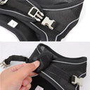 Small Breed Dog Harness for Safe Walks
