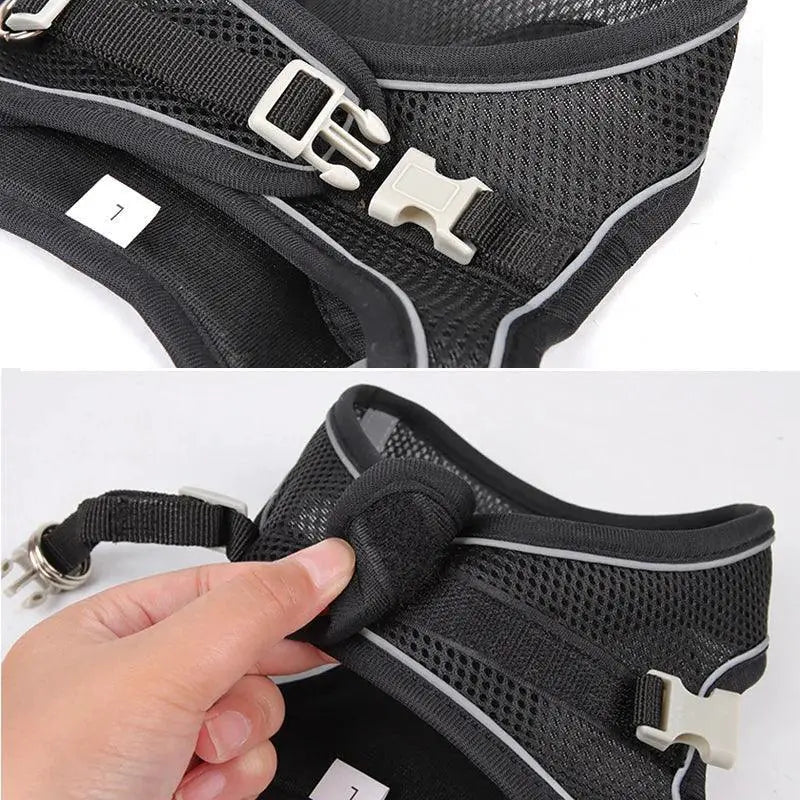 Adjustable Small Breed Dog Harness Set Reflective Vest