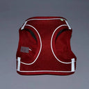 Small Breed Dog Harness for Safe Walks