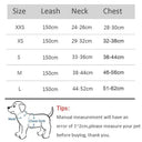 Small Breed Dog Harness for Safe Walks