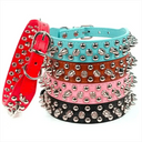 Spiked Leather Collar for Dogs and Cats