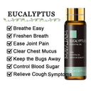 Soothing Aromatherapy Oils Set for Sleep