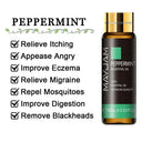 Soothing Aromatherapy Oils Set for Sleep