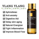 Soothing Aromatherapy Oils Set for Sleep