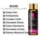 Soothing Aromatherapy Oils Set for Sleep