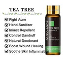 Soothing Aromatherapy Oils Set for Sleep