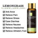 Soothing Aromatherapy Oils Set for Sleep