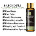 Soothing Aromatherapy Oils Set for Sleep