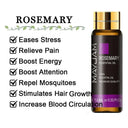 Soothing Aromatherapy Oils Set for Sleep