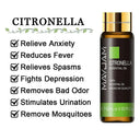Soothing Aromatherapy Oils Set for Sleep