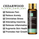 Soothing Aromatherapy Oils Set for Sleep