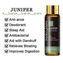Soothing Aromatherapy Oils Set for Sleep