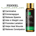 Soothing Aromatherapy Oils Set for Sleep