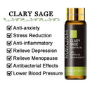 Soothing Aromatherapy Oils Set for Sleep