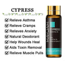 Soothing Aromatherapy Oils Set for Sleep