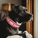 Personalized Leather Dog Collar With Free Name Print