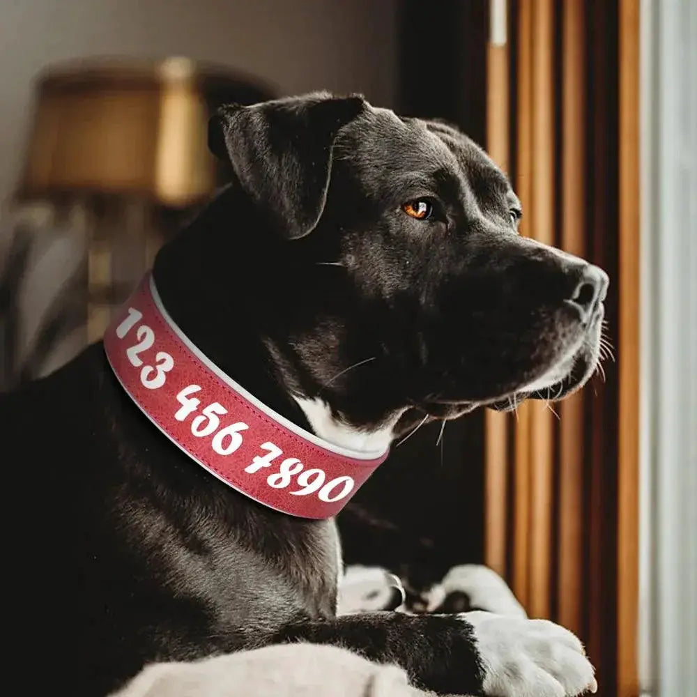 Personalized Leather Dog Collar With Free Name Print