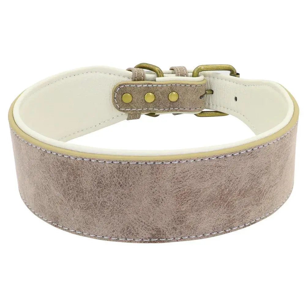 Personalized Leather Dog Collar With Free Name Print