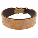 Personalized Leather Dog Collar With Free Name Print