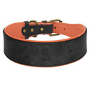 Personalized Leather Dog Collar With Free Name Print
