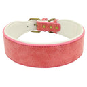 Personalized Leather Dog Collar With Free Name Print