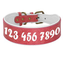 Personalized Leather Dog Collar With Free Name Print