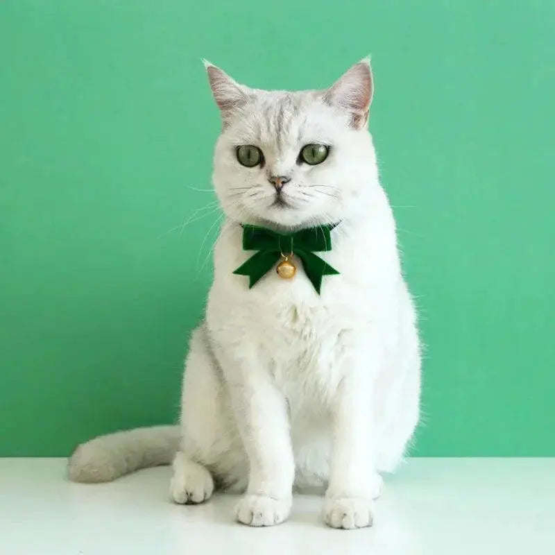 Elegant Velvet Holiday Pet Collar With Bow Tie And Bell