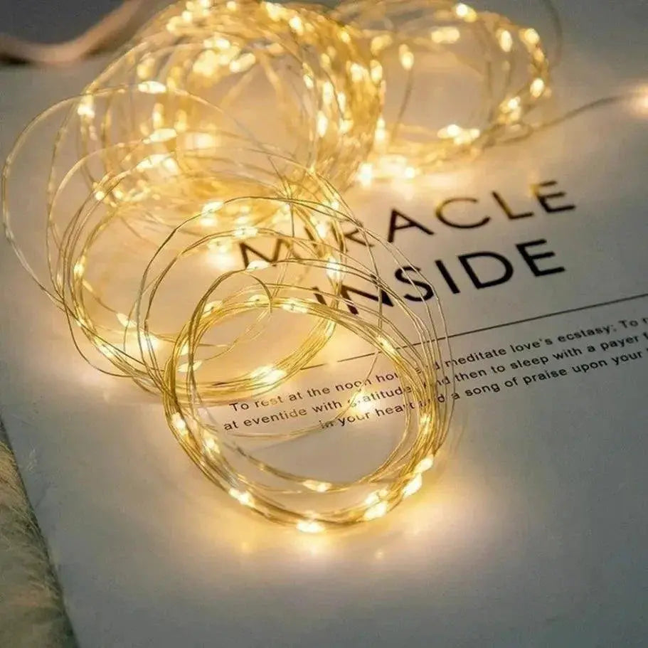 Vibrant Waterproof LED Fairy Lights For Indoor Outdoor Decor
