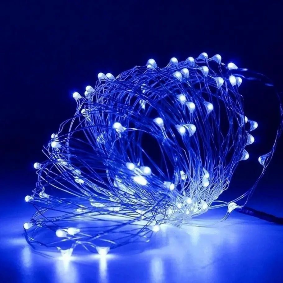 Vibrant Waterproof LED Fairy Lights For Indoor Outdoor Decor