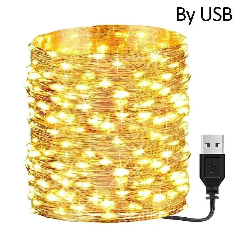 Waterproof LED Fairy String Lights For Holiday Decor