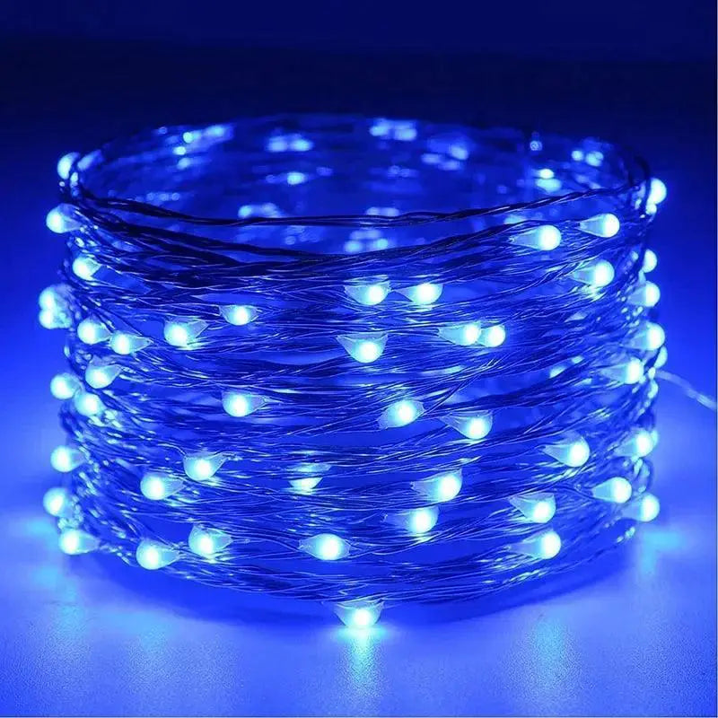 Waterproof LED Fairy String Lights For Holiday Decor
