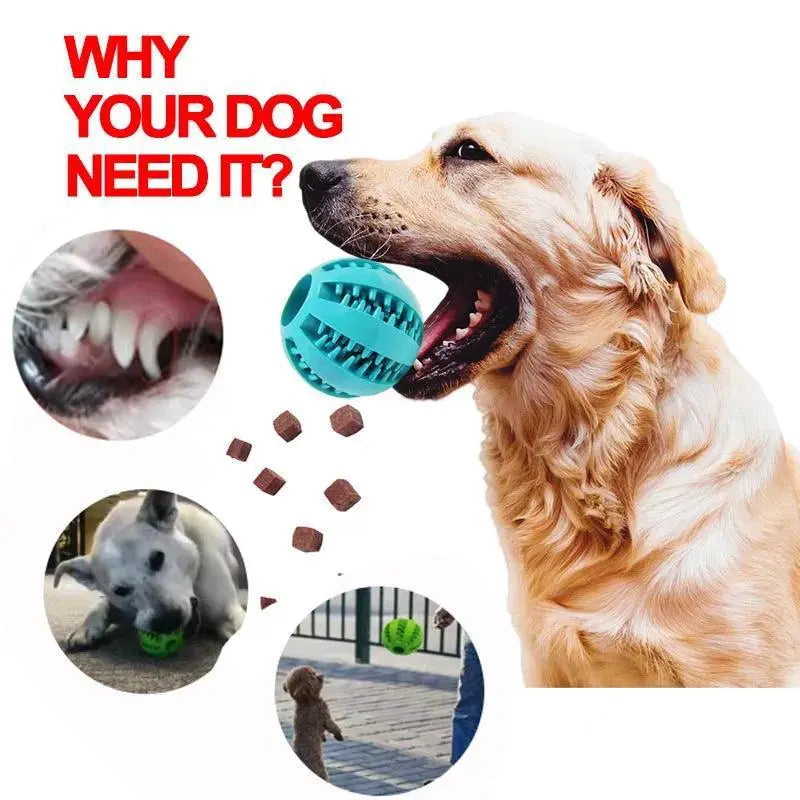 Soft Pet Dog Chew Toy Interactive Elasticity Ball For Fun