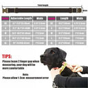 Nylon Dog Collar Set with Engraving