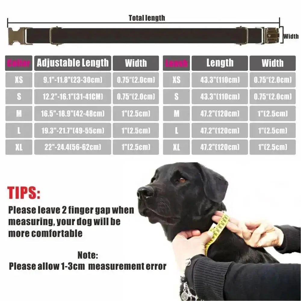 Nylon Dog Collar Set Personalized Engraving And Free Leash