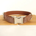 Nylon Dog Collar Set with Engraving