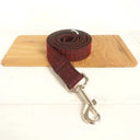 Nylon Dog Collar Set with Engraving