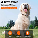 Dog Training Collar for Outdoors