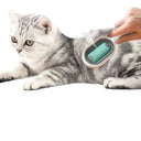 Cat Grooming Brush With Water Tank Shine