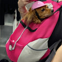 PawVoyage Breathable Dog Carrier Backpack For Travel Comfort