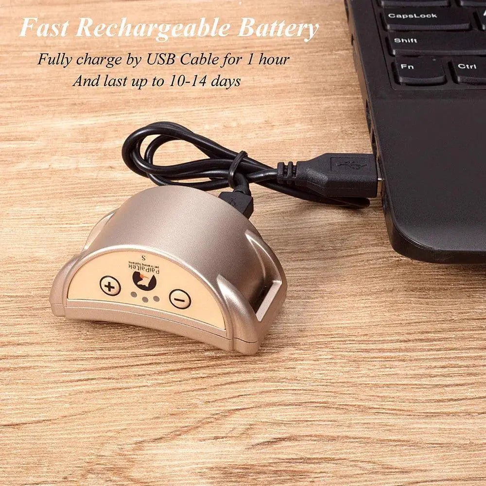 Anti Barking Training Collar Safe Rechargeable Waterproof