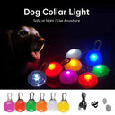 LED Pet Collar Pendant Rechargeable Light Leash Necklace