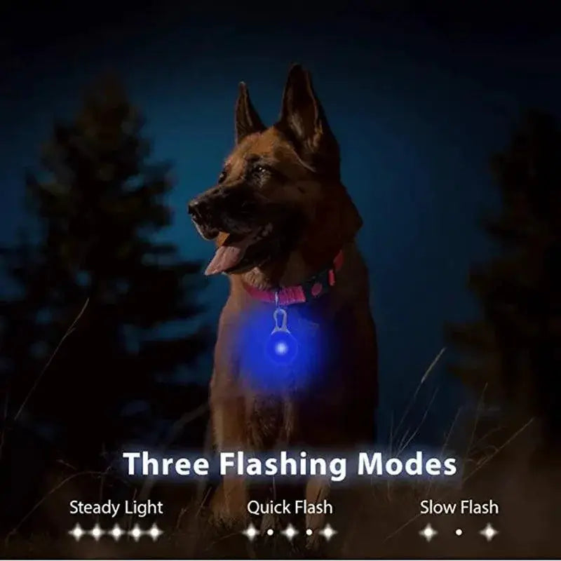 LED Pet Collar Pendant Rechargeable Light Leash Necklace