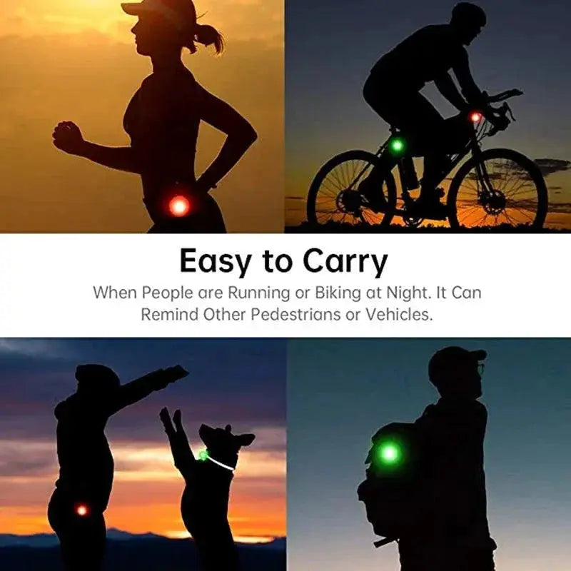 LED Pet Collar Pendant Rechargeable Light Leash Necklace